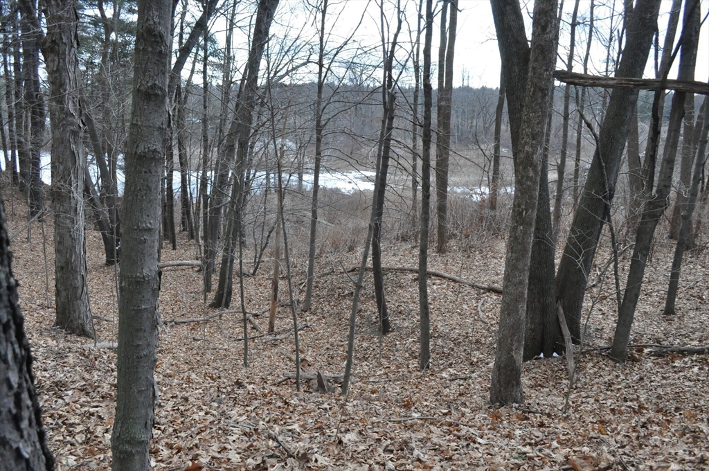 1010 Ryan Road Northampton, MA 01062 - Photo 38 of 42 Gallery Image 38