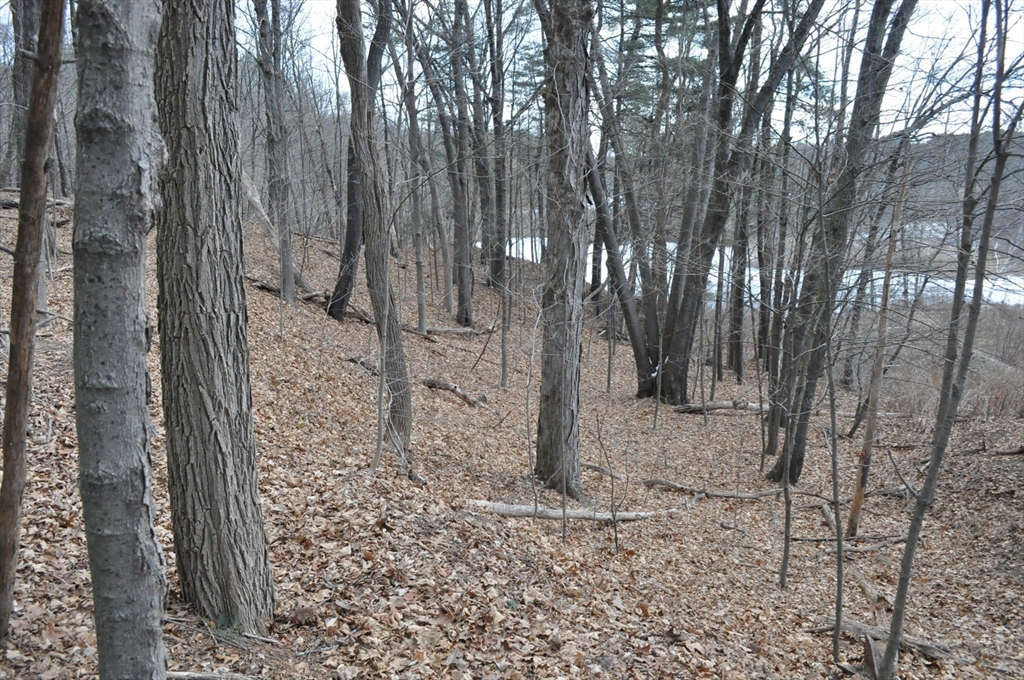 1010 Ryan Road Northampton, MA 01062 - Photo 39 of 42 Gallery Image 39
