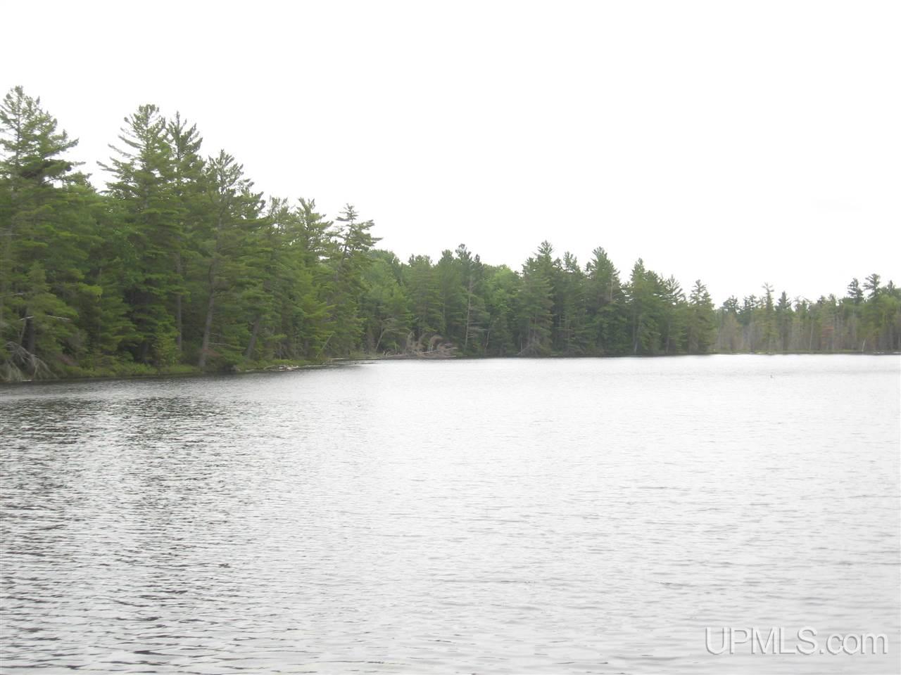 0 Rhody Cr, Unit CARTER LAKE RDP Seney, MI 49883 - Photo 29 of 36