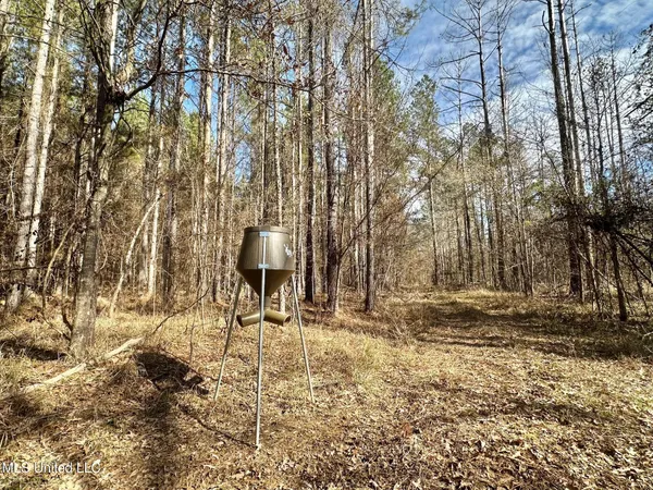 $280,000 | 4 Prentiss Crump Road, Utica, MS 39175