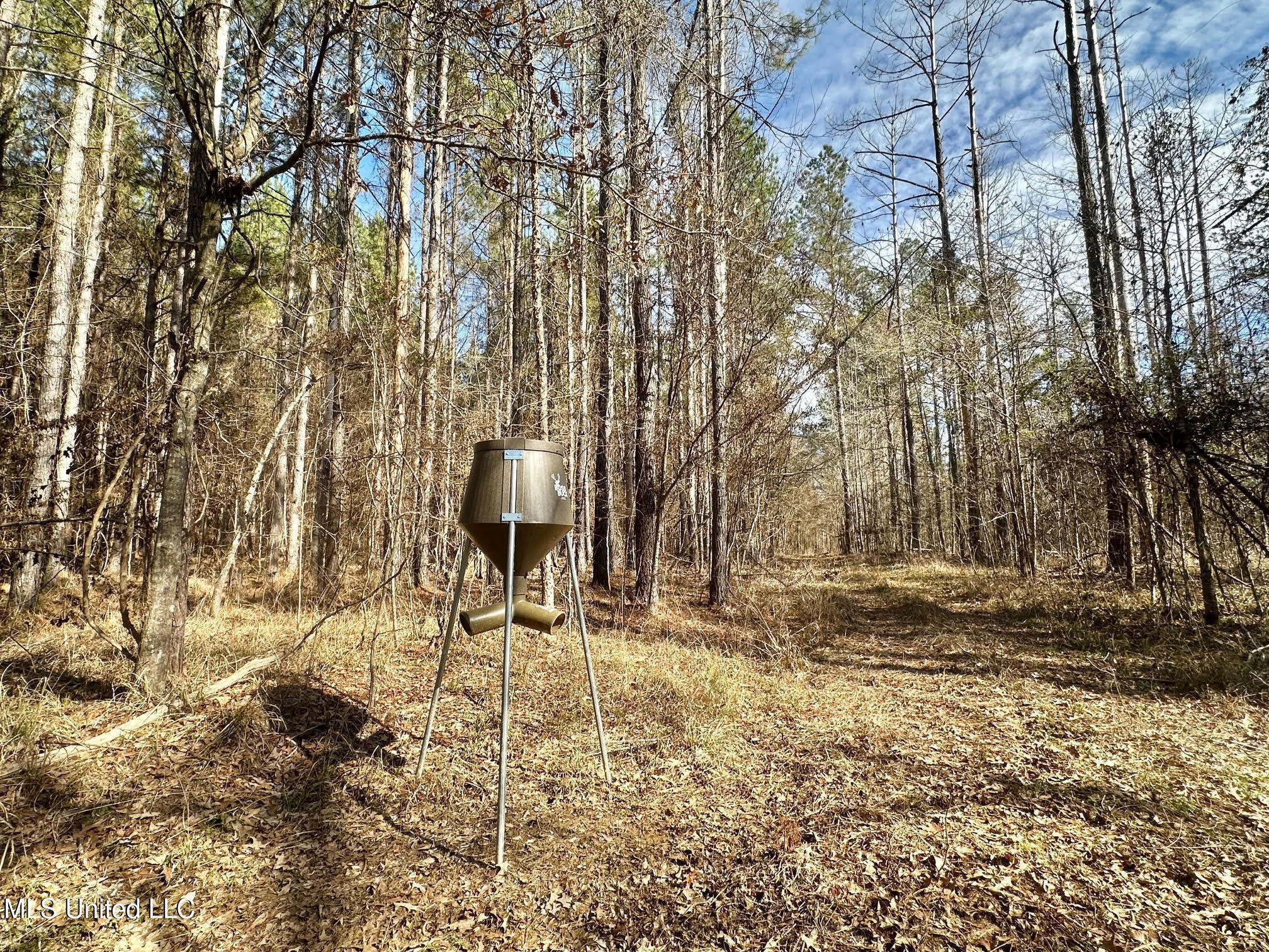 4 Prentiss Crump Road Utica, MS 39175 - Photo 11 of 28 585