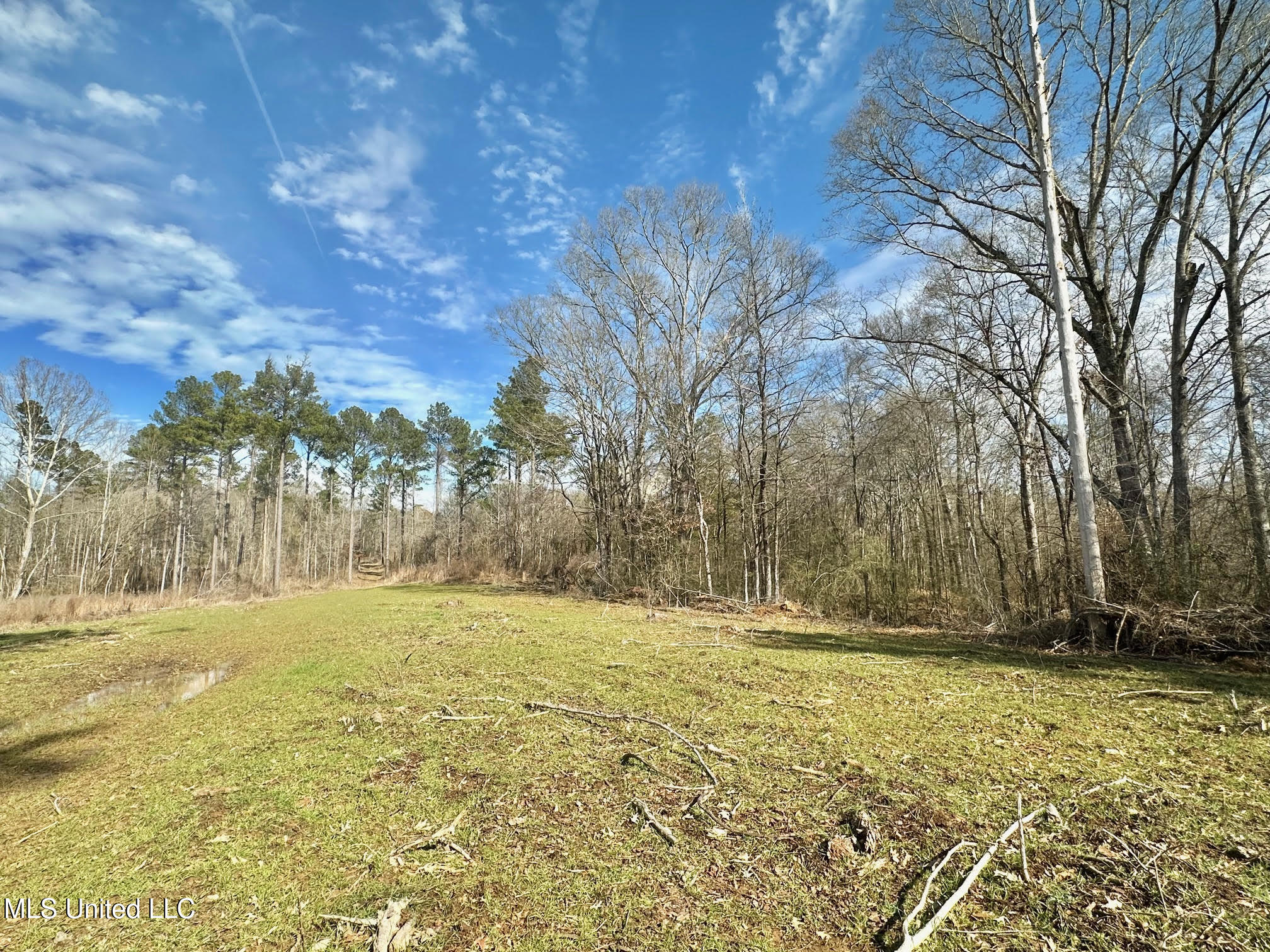 4 Prentiss Crump Road Utica, MS 39175 - Photo 14 of 28 588
