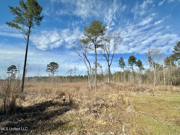 $280,000 | 4 Prentiss Crump Road, Utica, MS 39175