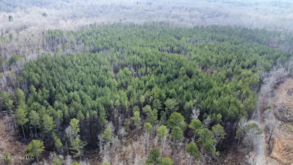 $280,000 | 4 Prentiss Crump Road, Utica, MS 39175