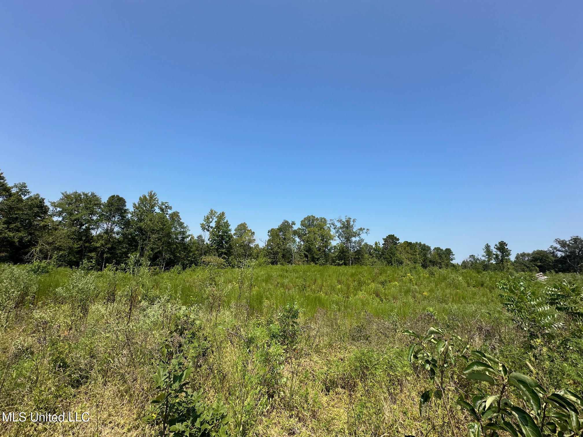 4 Prentiss Crump Road Utica, MS 39175 - Photo 2 of 11 84