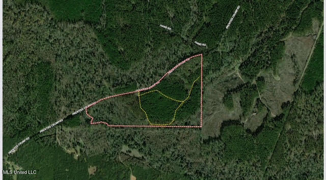 4 Prentiss Crump Road Utica, MS 39175 - Photo 2 of 28 155