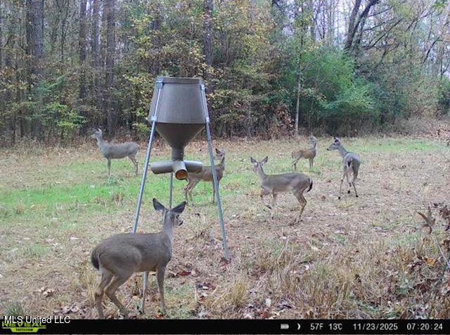 4 Prentiss Crump Road Utica, MS 39175 - Photo 22 of 28 689