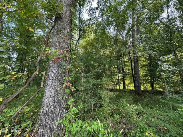 $295,000 | 4 Prentiss Crump Road, Utica, MS 39175