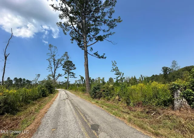 $295,000 | 4 Prentiss Crump Road, Utica, MS 39175