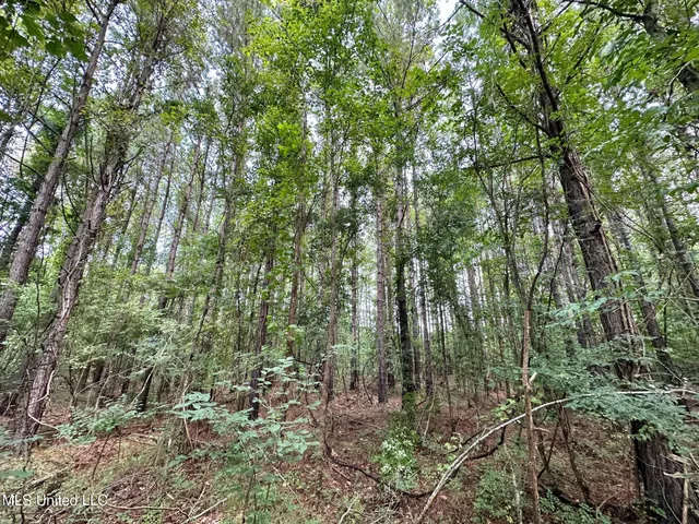 $295,000 | 4 Prentiss Crump Road, Utica, MS 39175