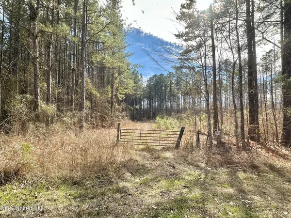 $280,000 | 4 Prentiss Crump Road, Utica, MS 39175