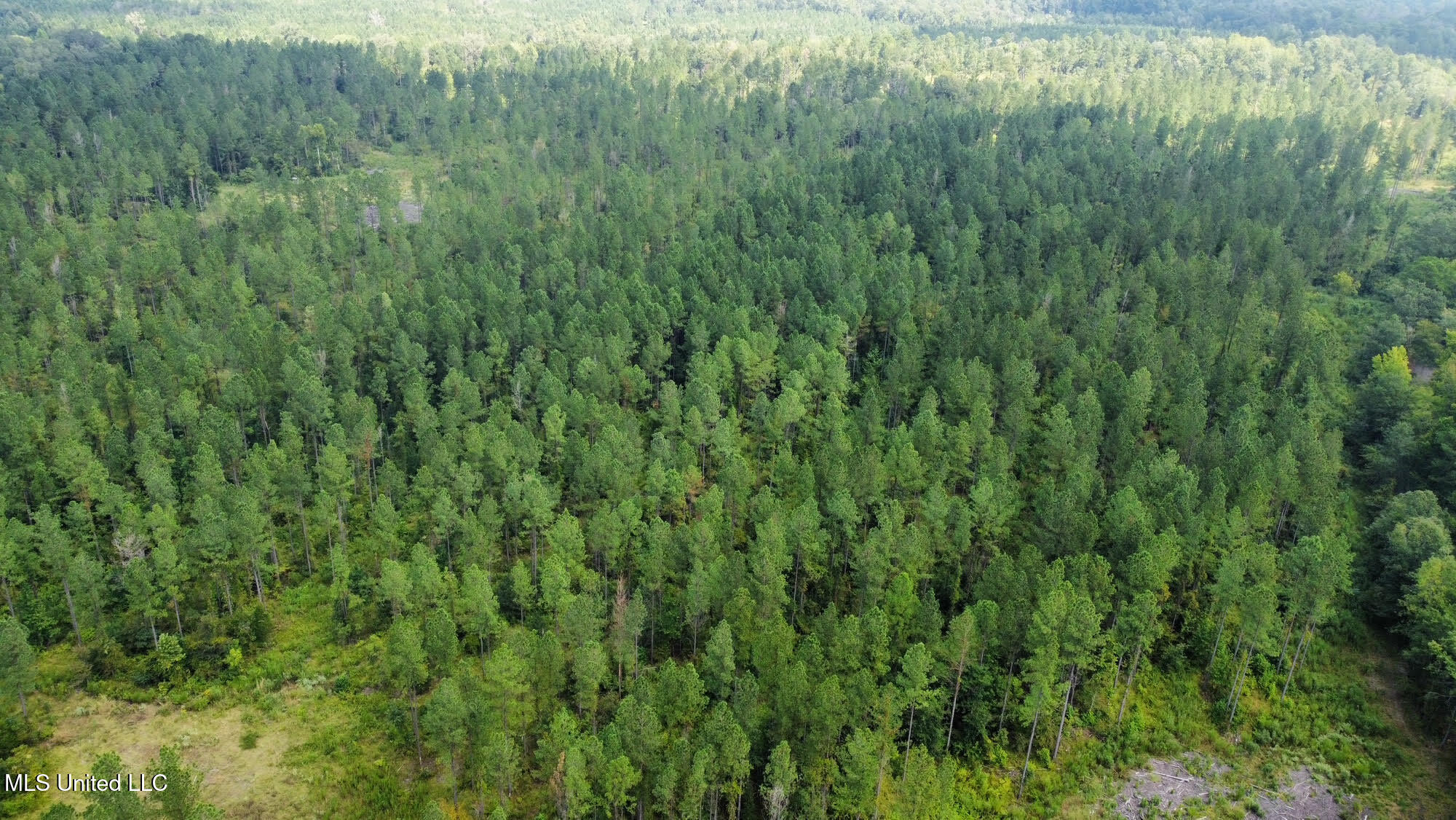 4 Prentiss Crump Road Utica, MS 39175 - Photo 7 of 11 109