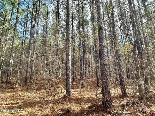 $280,000 | 4 Prentiss Crump Road, Utica, MS 39175