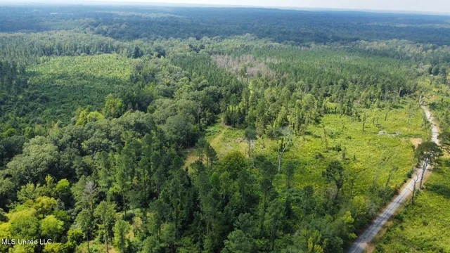 $295,000 | 4 Prentiss Crump Road, Utica, MS 39175