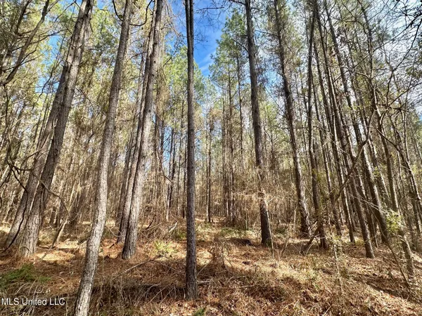 $280,000 | 4 Prentiss Crump Road, Utica, MS 39175