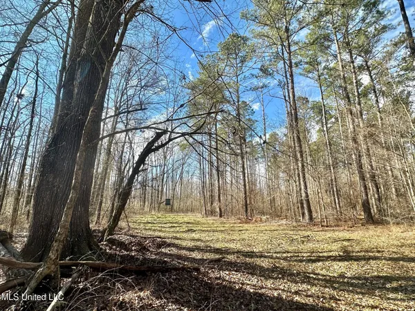 $280,000 | 4 Prentiss Crump Road, Utica, MS 39175