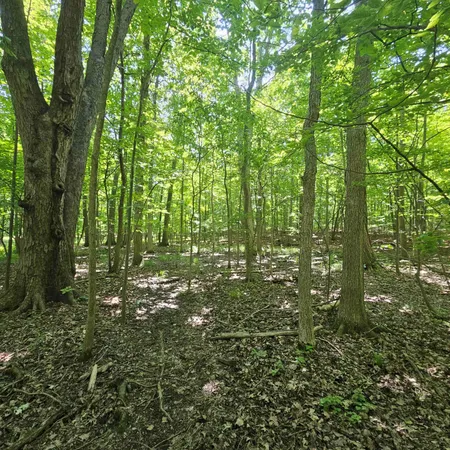 $585,000 | 1 Mowatt Road, Silverwood, MI 48760
