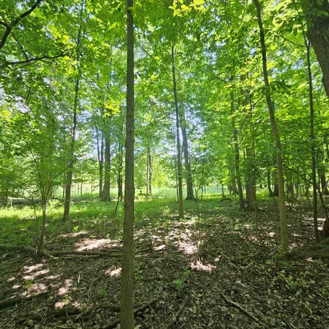 $585,000 | 1 Mowatt Road, Silverwood, MI 48760