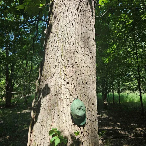 $585,000 | 1 Mowatt Road, Silverwood, MI 48760