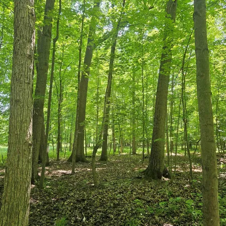 $585,000 | 1 Mowatt Road, Silverwood, MI 48760