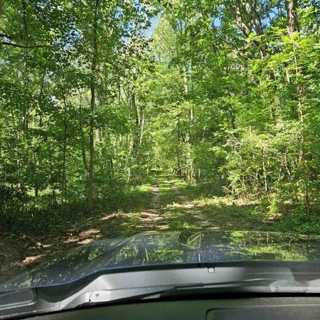 $585,000 | 1 Mowatt Road, Silverwood, MI 48760