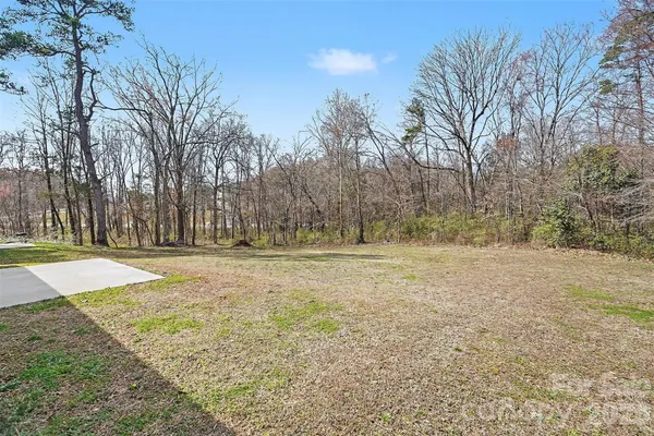 a view of yard with tree
