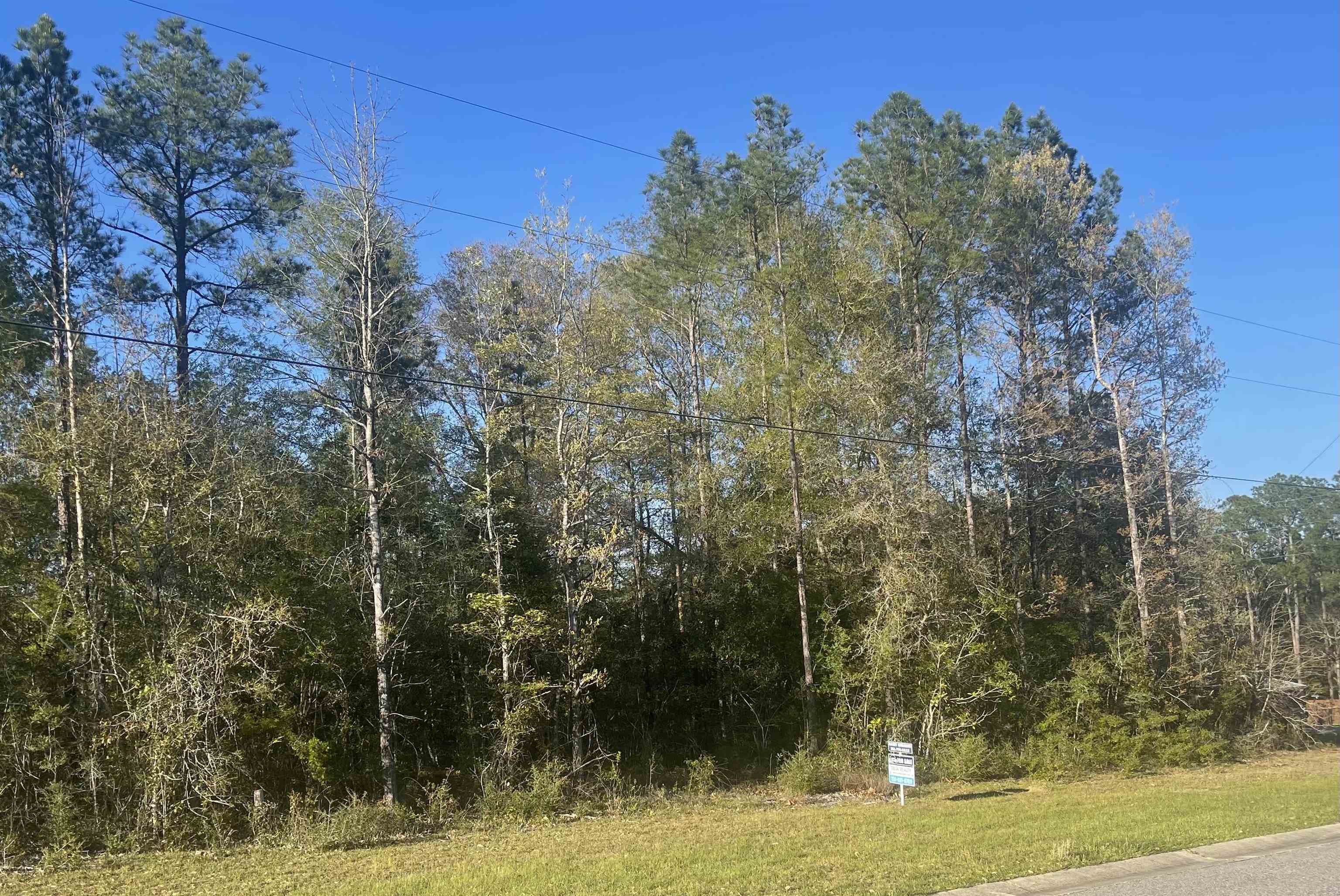 8 Cayden Circle Stapleton, AL 36578 - Photo 2 of 4