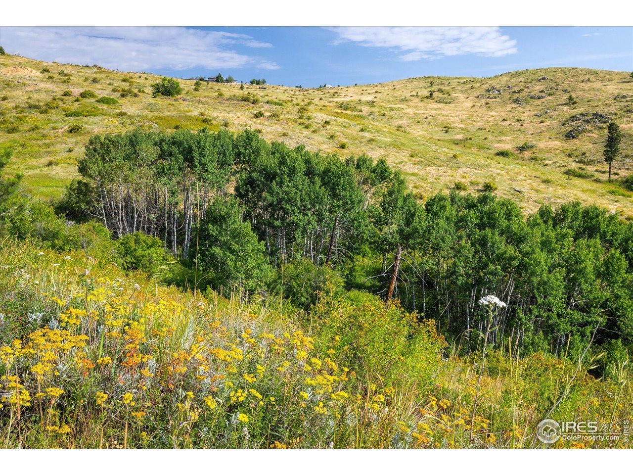 730 Lost Angel Road Boulder, CO 80302 - Photo 14 of 30