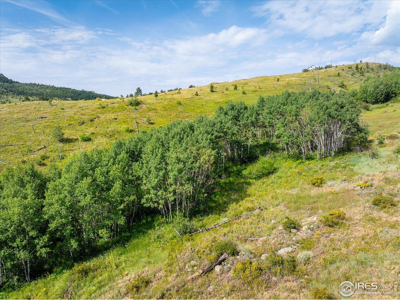 730 Lost Angel Road Boulder, CO 80302 - Photo 29 of 30