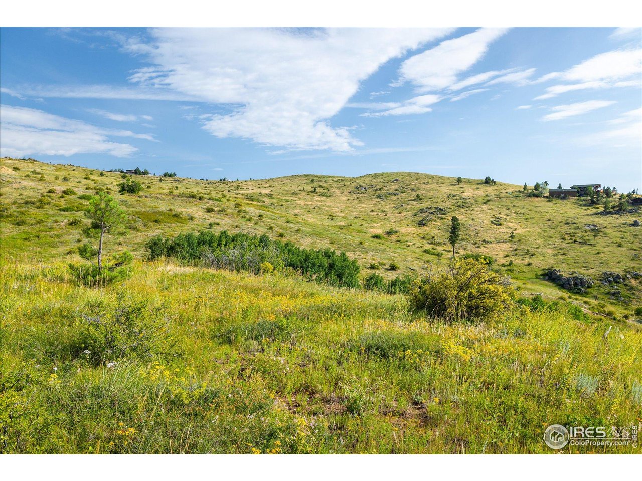 730 Lost Angel Road Boulder, CO 80302 - Photo 9 of 30