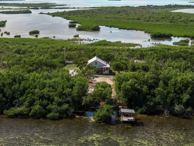 a aerial view of a house with a yard and lake view