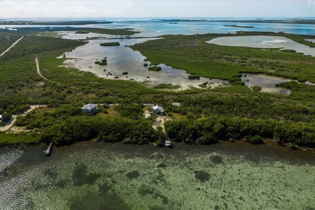 a view of a water pond with green space