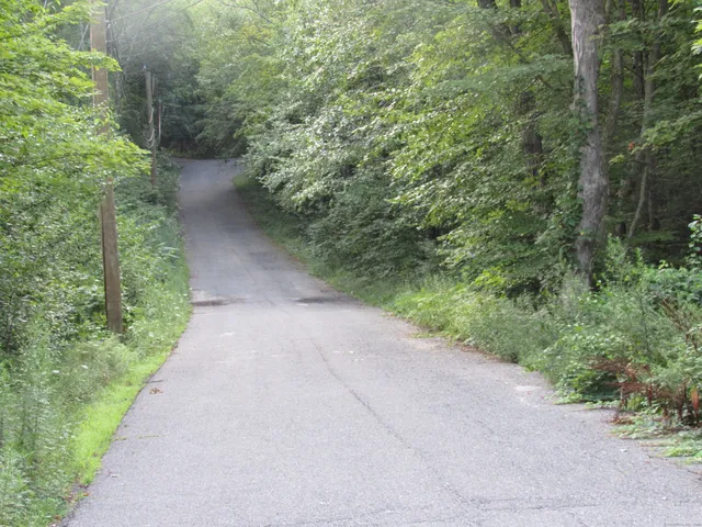 a view of a pathway with a yard