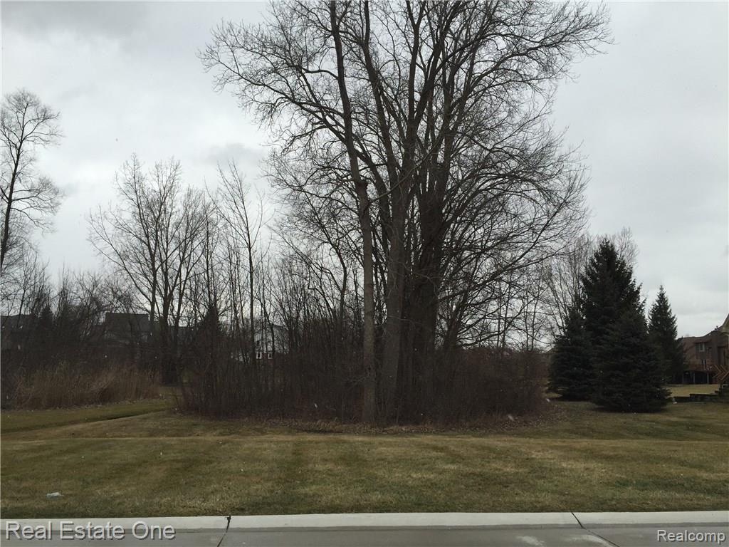 1347 Bembridge Drive Rochester Hills, MI 48307 - Photo 66 of 66