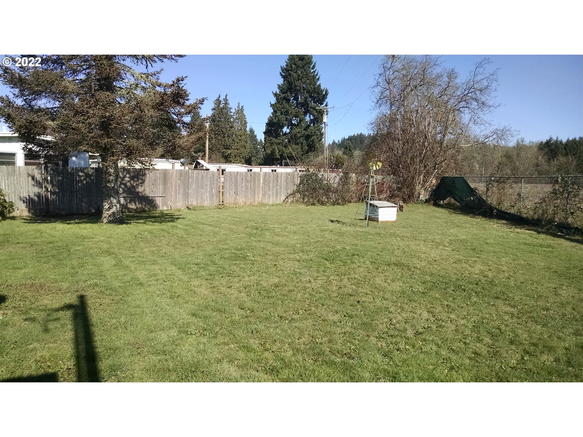 1769 Inland Way Springfield, OR 97477 - Photo 6 of 8