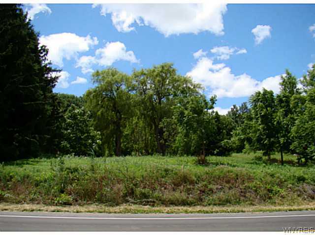 4564 Thrall Road Cambria, NY 14094 - Photo 1 of 1 Land Front view of property (1 of 2)