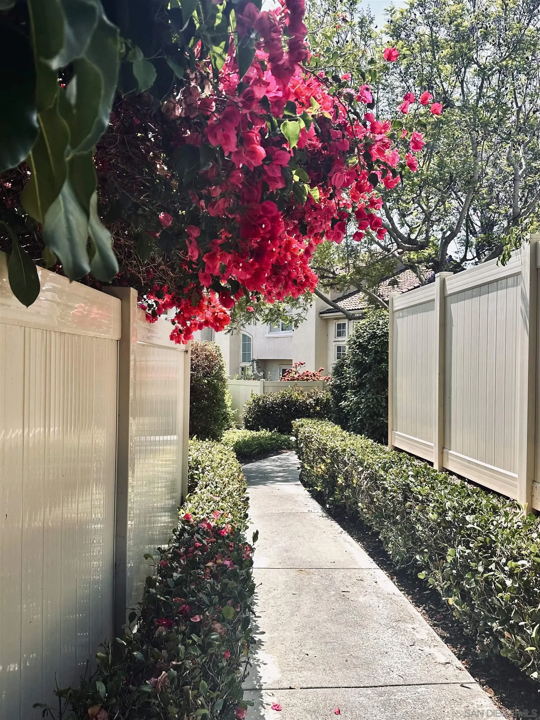 1259 Natoma Way, Unit C Oceanside, CA 92057 - Photo 44 of 52 a picture of flowers