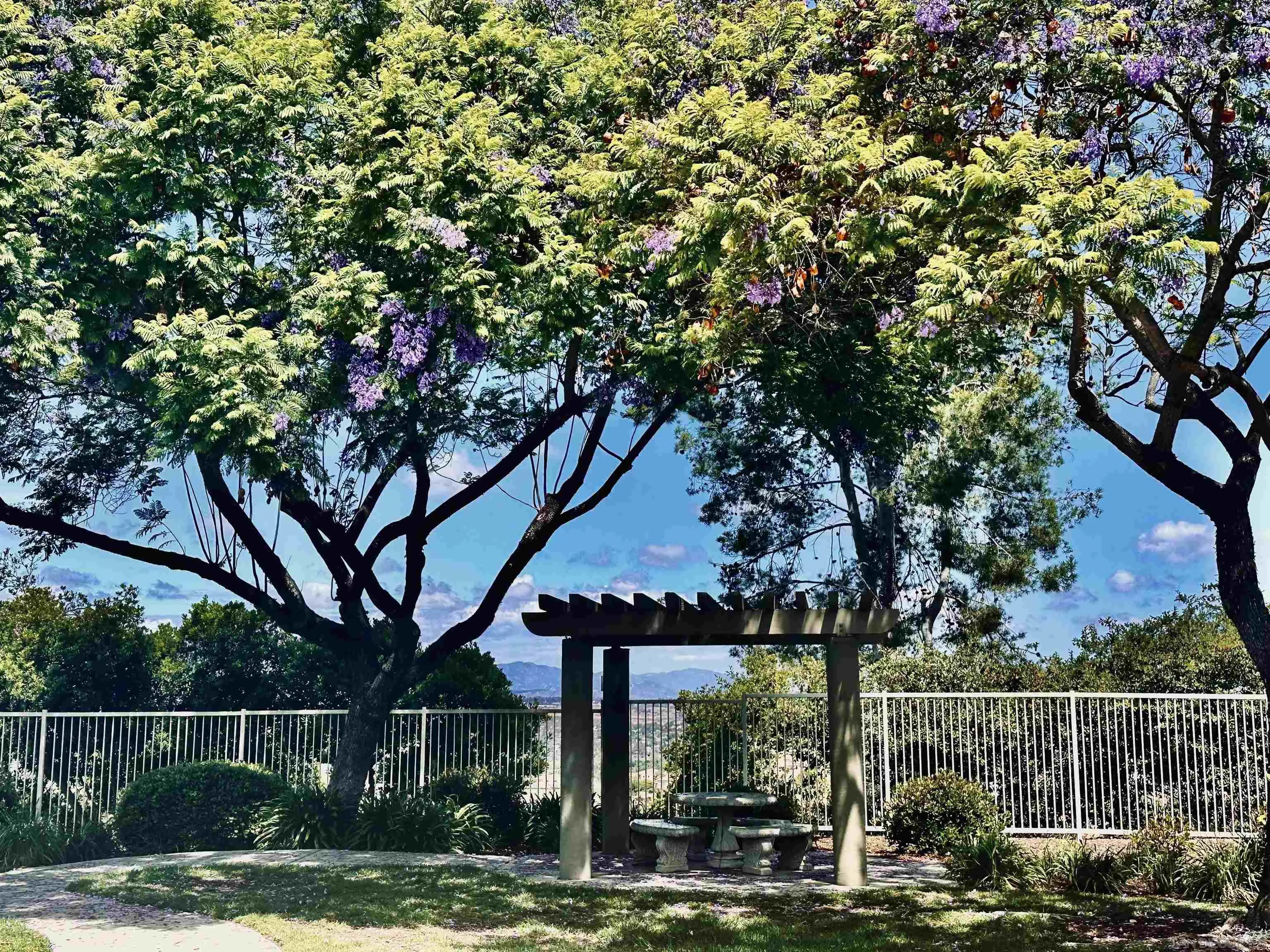 1259 Natoma Way, Unit C Oceanside, CA 92057 - Photo 46 of 52 a view of a yard in front of a house with a tree
