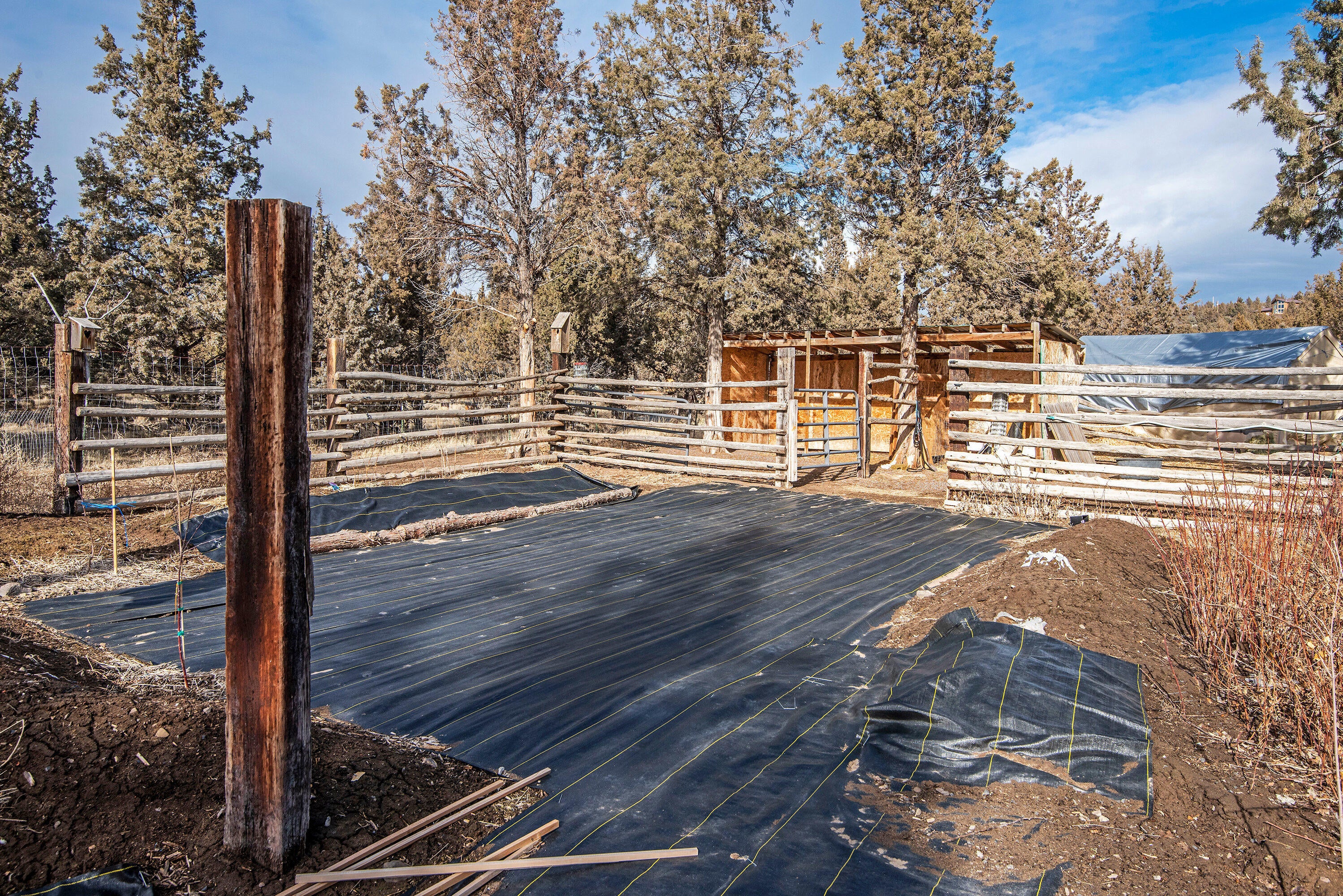12608 Southeast Bridge Road Prineville, OR 97754 - Photo 20 of 25 12608 SE Bridge Rd Prineville-print-023-