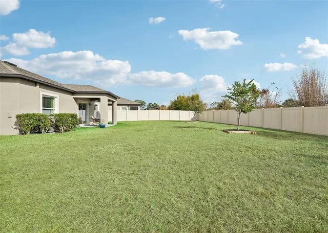 a view of a backyard