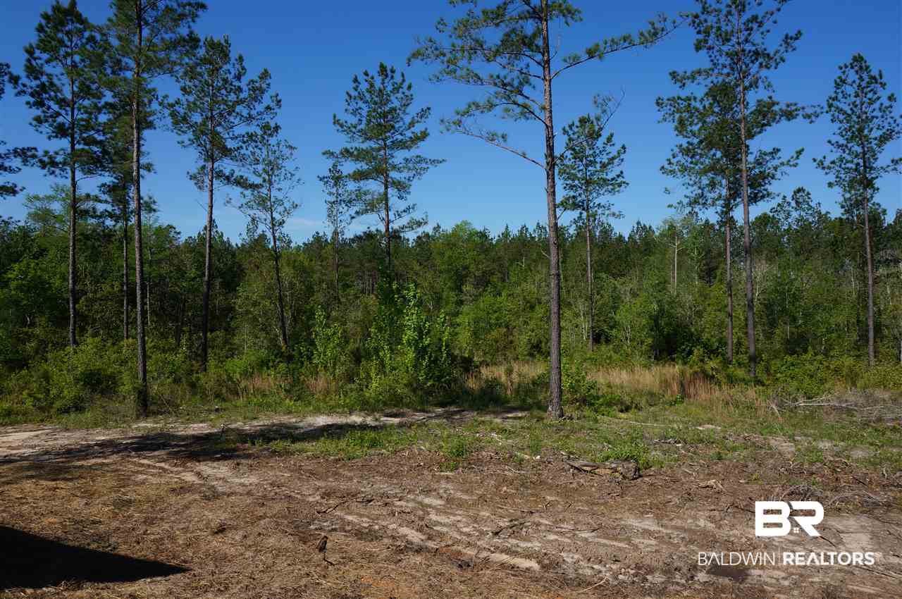 49989 Dyas Road Bay Minette, AL 36507 - Photo 33 of 33