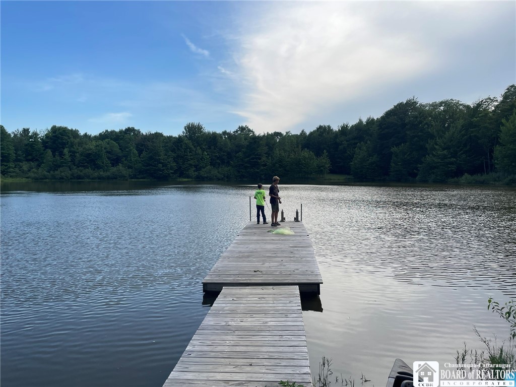 7120 Parker Road Chautauqua, NY 14757 - Photo 3 of 29 FISHING OFF THE DOCK