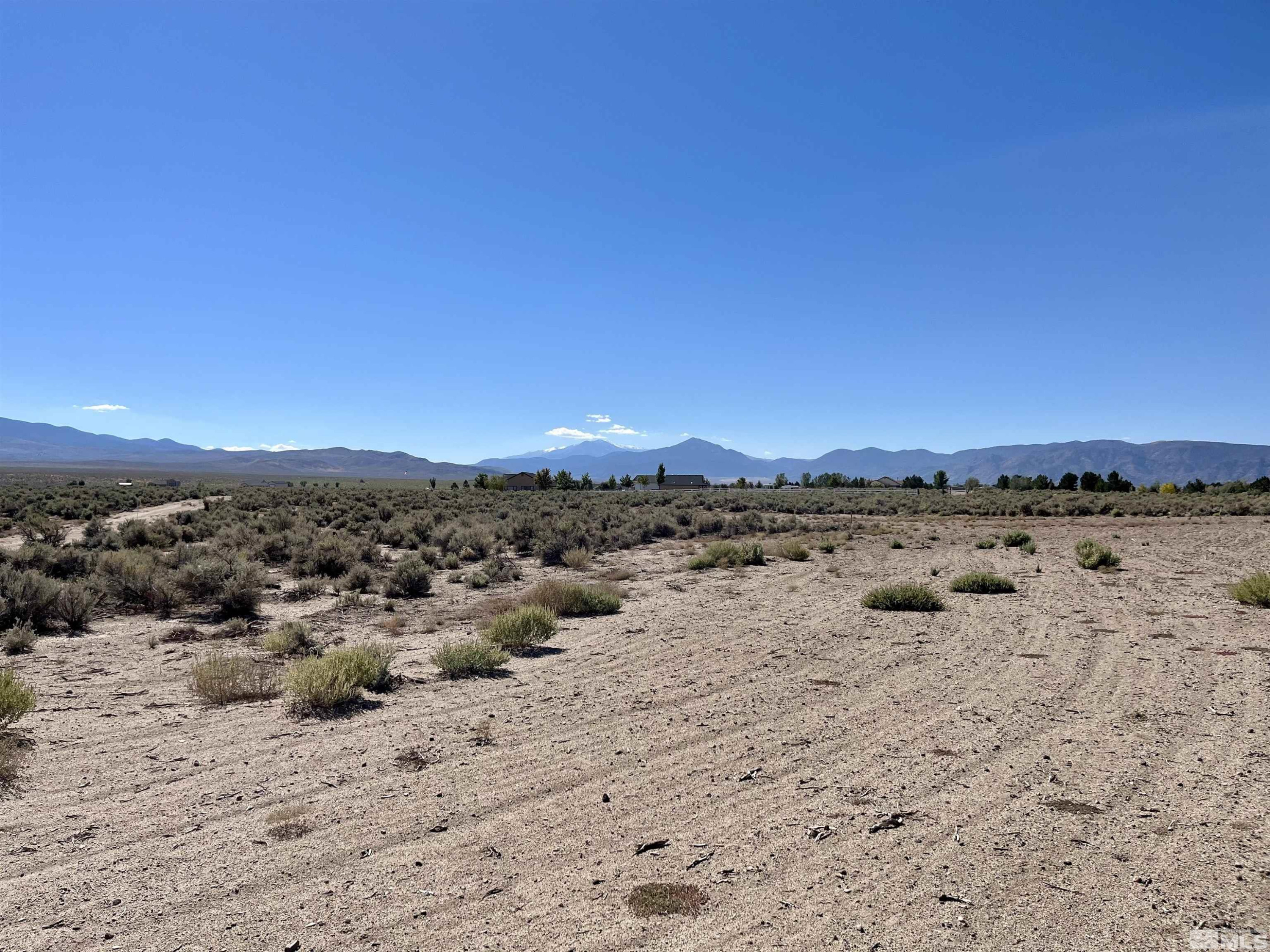 246 Finch Place Smith, NV 89430 - Photo 5 of 7 a view of a beach with a city view