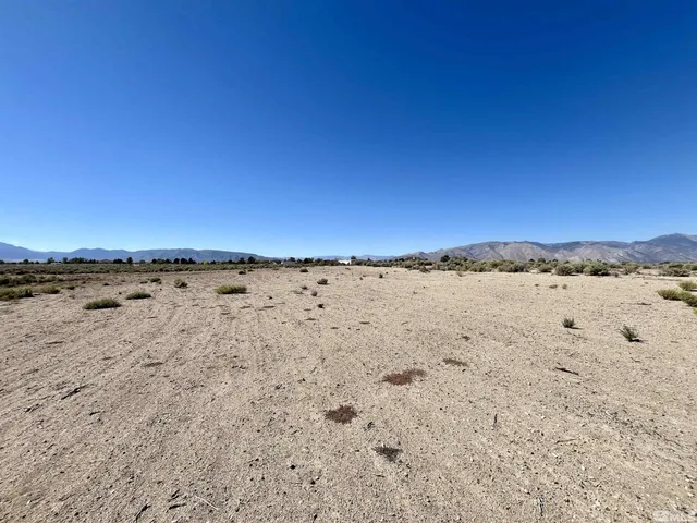 a view of beach and ocean