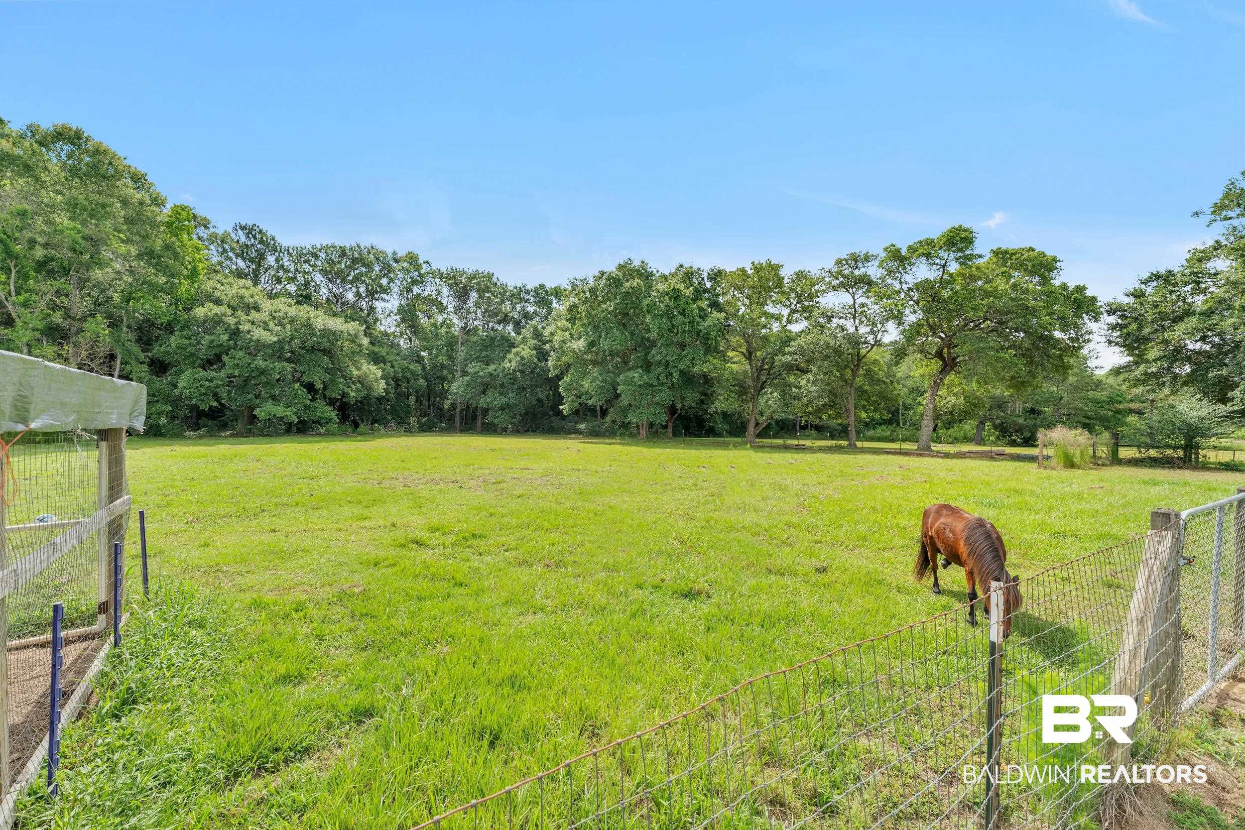 4062 River Road Theodore, AL 36582 - Photo 10 of 32 View of yard with a view of rural / pastoral area