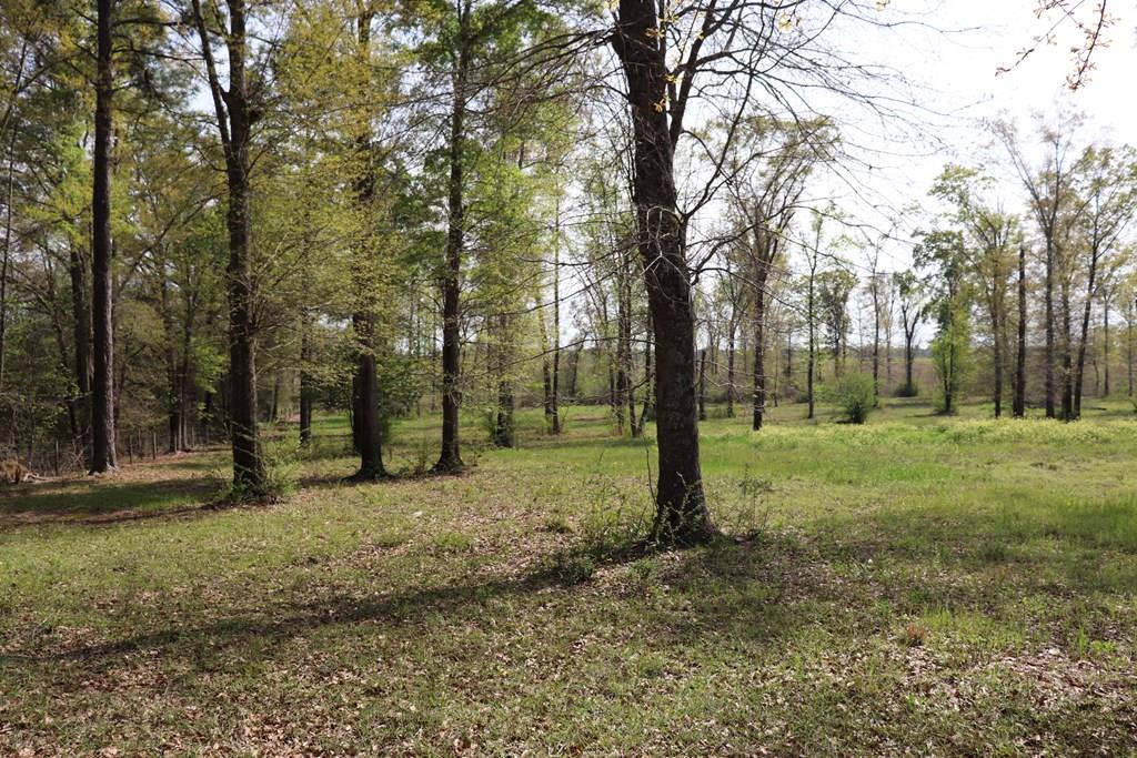 2154 J East Saunders Road Dothan, AL 36301 - Photo 1 of 15