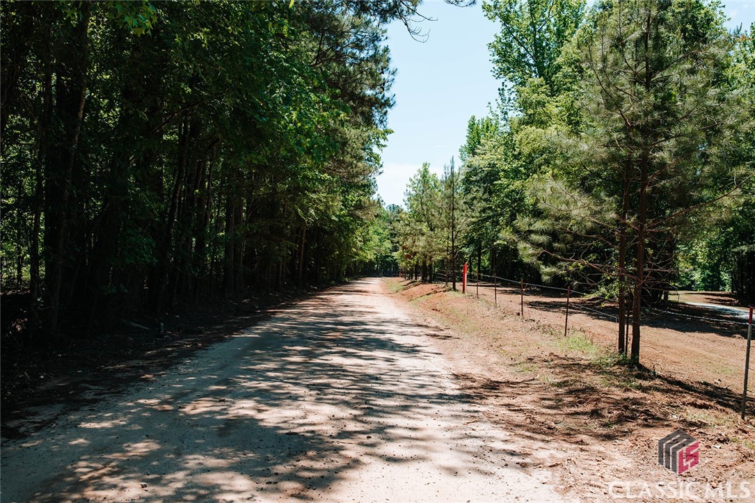 0 Bryant Road Union Point, GA 30669 - Photo 2 of 46