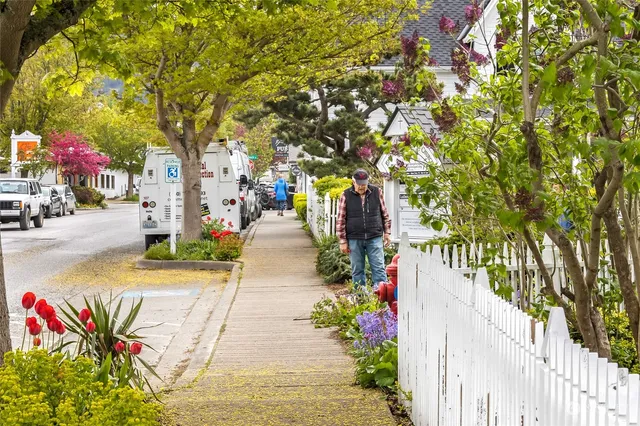 front view of a house with a small yard