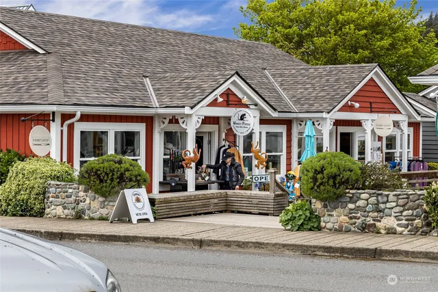 a view of a big yard with plants and large trees