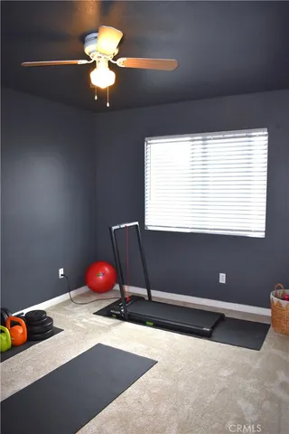 a view of a backyard with a garden and palm trees
